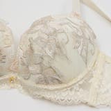 【脇高】シャイニーリリー３ ４モールドカップブラ＆バックレースTバック B | palissee | 詳細画像4 