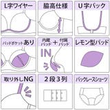 バイカラーマカロニコード3 4モールドカップブラ&バックレースTバック E | palissee | 詳細画像12