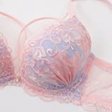 【脇高】ロマンティックヘヴン３ ４モールドカップブラ＆バックレースTバック E | palissee | 詳細画像4 