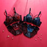 【脇高】ヴェルヴェットアイヴィ３ ４モールドカップブラ＆バックレースショーツ B | palissee | 詳細画像12 