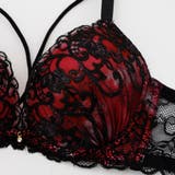 【脇高】ヴェルヴェットアイヴィ３ ４モールドカップブラ＆バックレースTバック B | palissee | 詳細画像4 