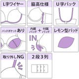 【脇高】ヴェルヴェットアイヴィ３ ４モールドカップブラ＆バックレースTバック E | palissee | 詳細画像9 