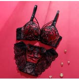 レッド | 【脇高】ヴェルヴェットアイヴィ３ ４モールドカップブラ＆バックレースショーツ E | palissee