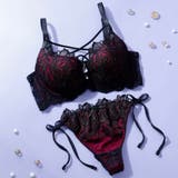 レッド | 【脇高】ノワールローズ 脇高ブラ&Tバックひもショーツ A B C D | palissee