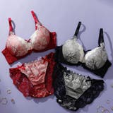 【脇高】ゴシックレース 脇高ブラ＆バックレースショーツ  A B C D | palissee | 詳細画像12 