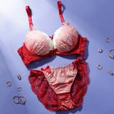 レッド | 【脇高】ゴシックレース 脇高ブラ＆バックレースショーツ  A B C D | palissee