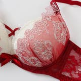 【脇高】ゴシックレース 脇高ブラ＆バックレースショーツ  A B C D | palissee | 詳細画像4 