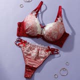 レッド | 【脇高】ゴシックレース 脇高ブラ＆Tバックショーツ  A B C D | palissee
