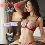 【脇高】ゴシックレース 脇高ブラ＆バックレースショーツ  E F | palissee | 詳細画像1 