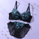グリーン | 【脇高】ノワールリリー 脇高ブラ&バックレースショーツ A-Fカップ | palissee