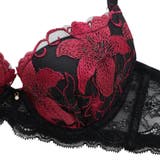 【脇高】ノワールリリー 脇高ブラ&バックレースショーツ A-Fカップ | palissee | 詳細画像5