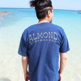 Almond Surf アーモンドサーフ | EYEDY | 詳細画像8 