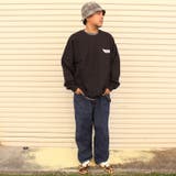 DOGTOWN ドッグタウン WALL | EYEDY | 詳細画像2