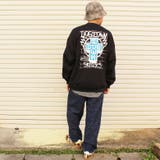 DOGTOWN ドッグタウン WALL | EYEDY | 詳細画像3