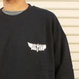 DOGTOWN ドッグタウン WALL | EYEDY | 詳細画像4