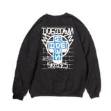 DOGTOWN ドッグタウン WALL | EYEDY | 詳細画像7