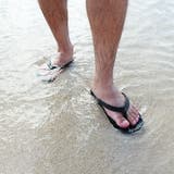 Sea Sun シーサン | EYEDY | 詳細画像3