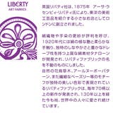 日本製 リバティファブリック 吊り込みスリッパ | PENNE PENNE FREAK  | 詳細画像3 