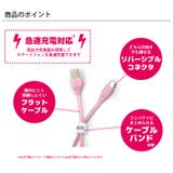 USBケーブル 50cm USB Type-C Type-A コネクタ | Premium Style | 詳細画像2 