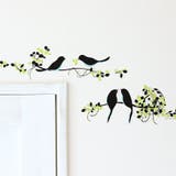 ウォールステッカー ハウスジータ 鳥 | アクセサリーショップPIENA | 詳細画像7 
