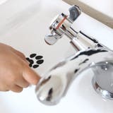 ウォールステッカー 貼ってはがせる トイプードル | アクセサリーショップPIENA | 詳細画像6 