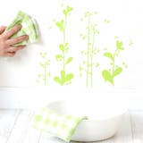 ウォールステッカー 貼ってはがせる 草原の植物 | アクセサリーショップPIENA | 詳細画像5 