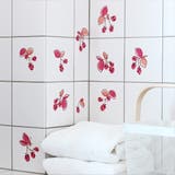 ウォールステッカー 貼ってはがせる ラズベリー | アクセサリーショップPIENA | 詳細画像7 