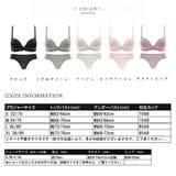 ブラショーツセット レディース 春夏秋冬 | アクセサリーショップPIENA | 詳細画像2