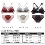 ブラショーツセット レディース 春夏秋冬 | アクセサリーショップPIENA | 詳細画像2
