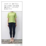 Steady 8月号掲載アイテム 汗ジミ防止シャーリングデザインTシャツ | Pierrot | 詳細画像14 