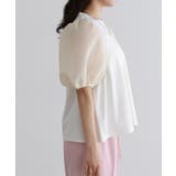 シアーダンボールドッキングフレアカットソー カットソー ダンボール素材 | Pierrot | 詳細画像7 