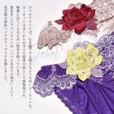 Due perle ドゥペルル | PINK PINK PINK | 詳細画像3