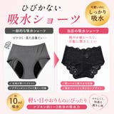 3枚セット 吸水ショーツ 総レース | PINK PINK PINK | 詳細画像4 