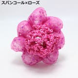 シニヨンネット 子供用 キッズ | PlusNao | 詳細画像7 