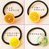 ヘアーゴム ヘアゴム 髪ゴム | PlusNao | 詳細画像12 