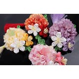 ヘアクリップ キッズ ジュニア | PlusNao | 詳細画像5 