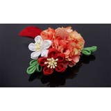 ヘアクリップ キッズ ジュニア | PlusNao | 詳細画像7 