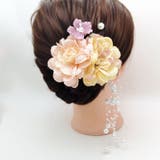 髪飾り5点セット ヘアアクセサリー Uピン | PlusNao | 詳細画像3
