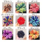 ヘアゴム 50個セット キッズ | PlusNao | 詳細画像18 