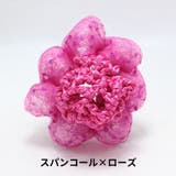 シニヨンネット 子供用 キッズ | PlusNao | 詳細画像4