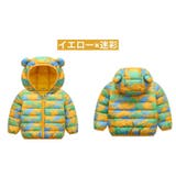 ダウン風ジャケット 中綿入りジャケット ジップアップ | PlusNao | 詳細画像10