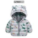ダウン風ジャケット 中綿入りジャケット ジップアップ | PlusNao | 詳細画像16