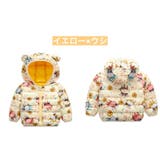 ダウン風ジャケット 中綿入りジャケット ジップアップ | PlusNao | 詳細画像8