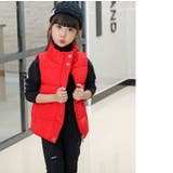 中綿入りベスト ダウン風ベスト アウター | PlusNao | 詳細画像5 