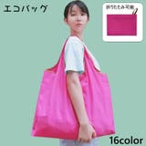エコバッグ トートバッグ ナイロンバッグ | PlusNao | 詳細画像1