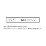 ハンドバッグ メッシュバッグ バスバッグ | PlusNao | 詳細画像20 