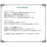 子供服 ストレッチチノパン 7分丈 | PlusNao | 詳細画像16