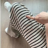 マタニティパンツ ロングパンツ 長ズボン | PlusNao | 詳細画像13
