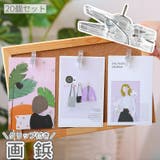 クリップ付き画鋲 20個セット プッシュピン | PlusNao | 詳細画像1