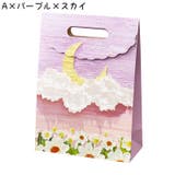 ギフトバッグ 紙袋 ペーパーバッグ | PlusNao | 詳細画像10 